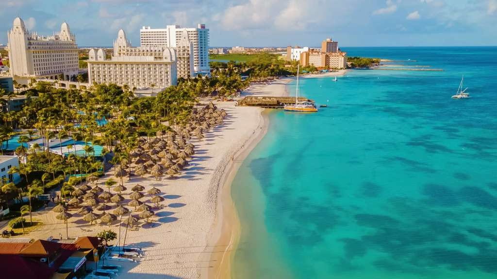 Vista paradisíaca del mar Caribe y palmeras en la playa