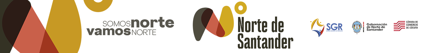 Google search engine